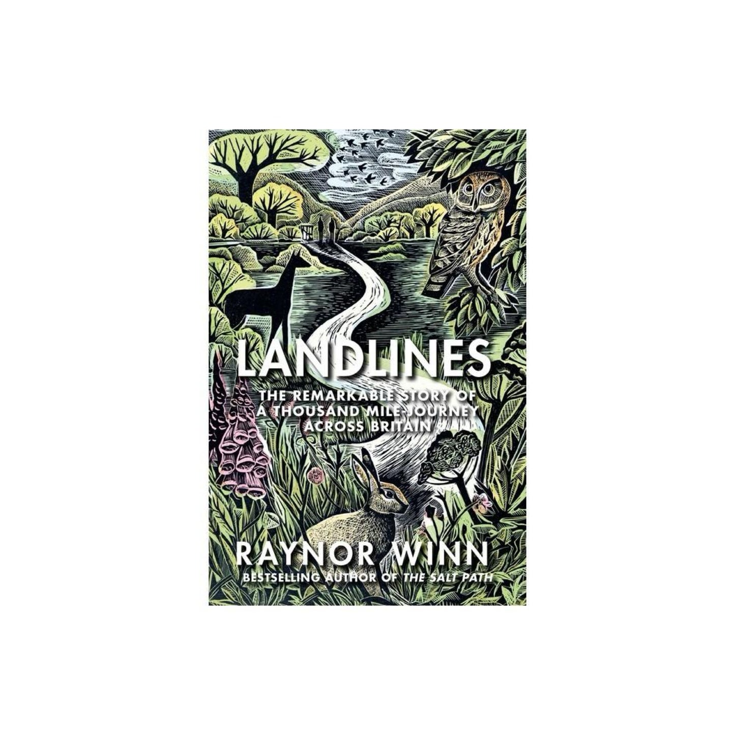 Landlines (Used) - by Raynor Winn (Hardcover)