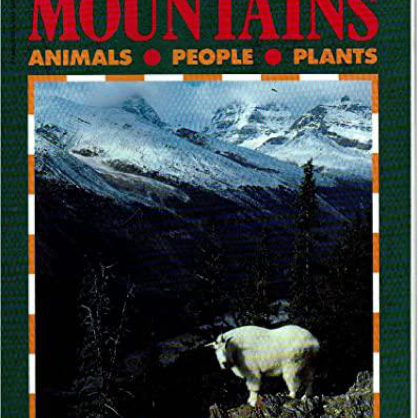 Life in the Mountains by Catherine Bradley