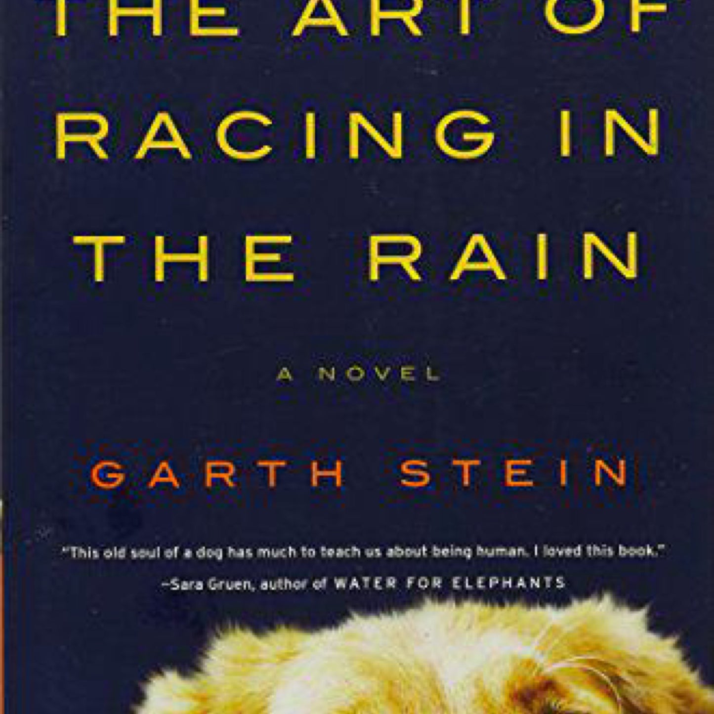 The Art of Racing in the Rain: A Novel by Garth Stein