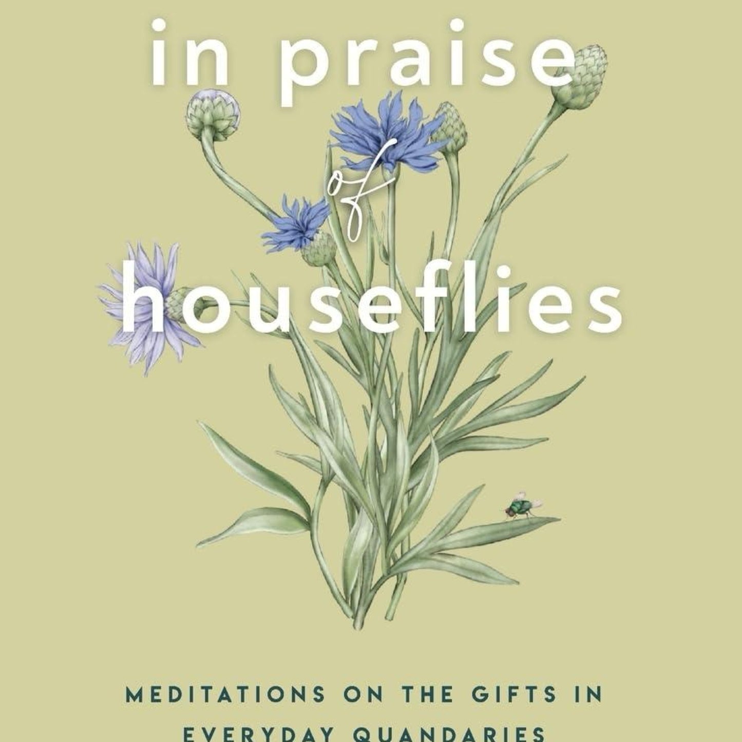 In Praise of Houseflies: Meditations on the Gifts in Everyday Quandaries