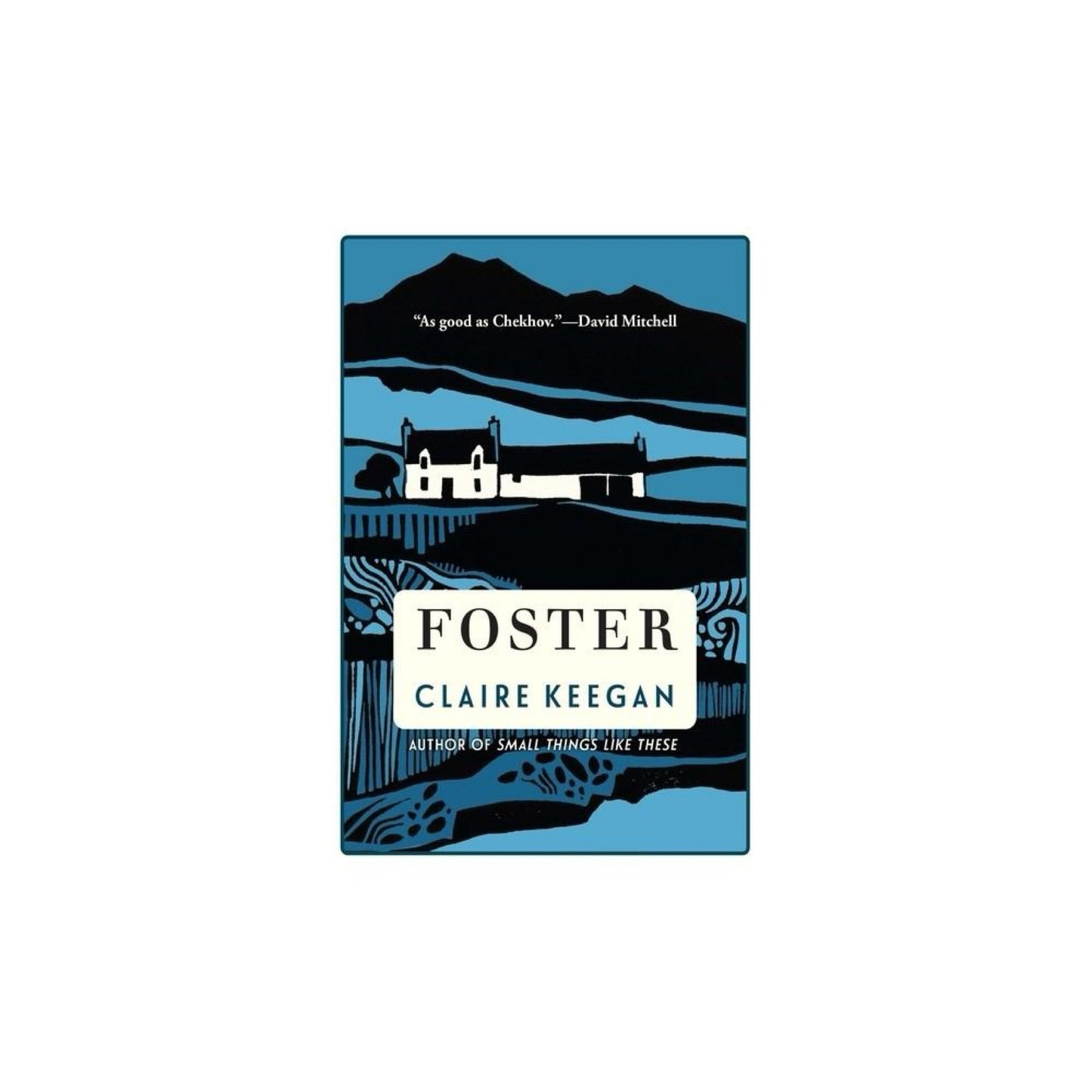 Foster by Claire Keegan