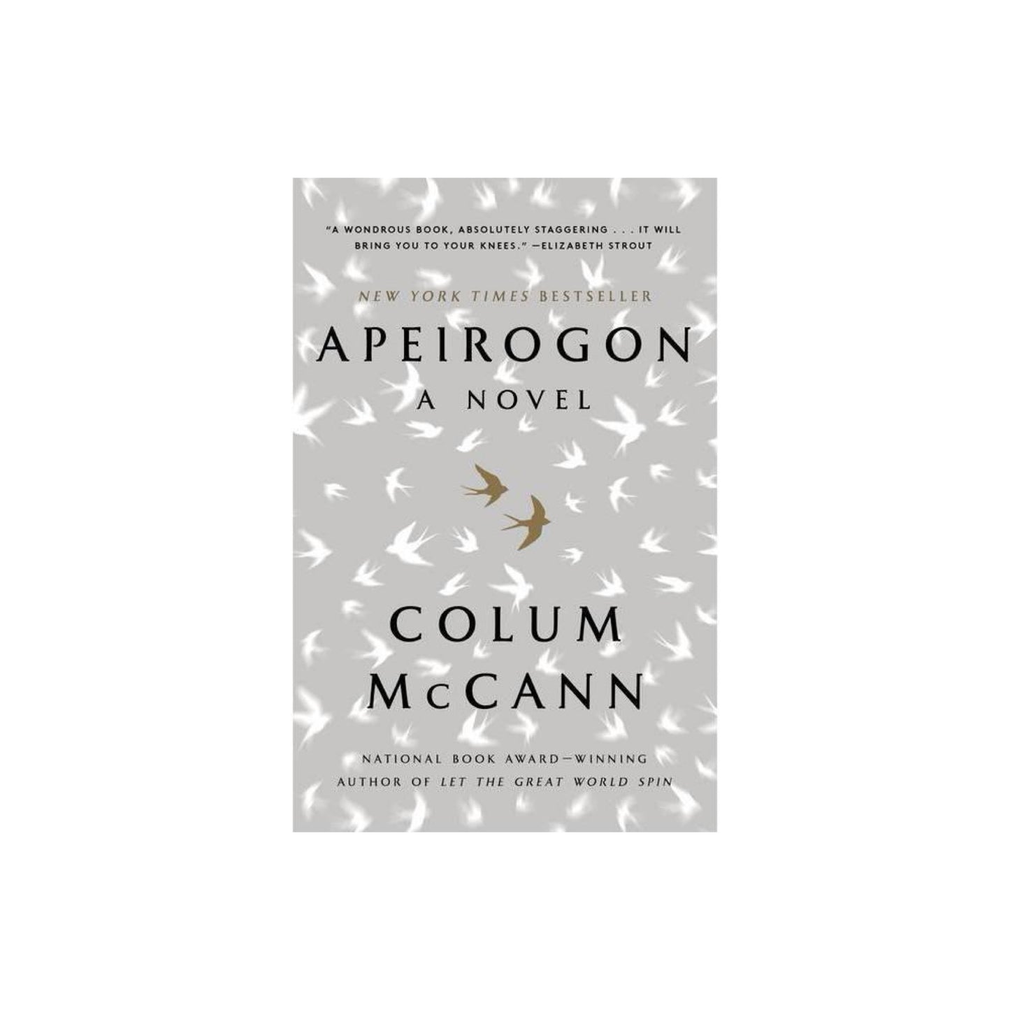 Apeirogon: A Novel by Colum McCann