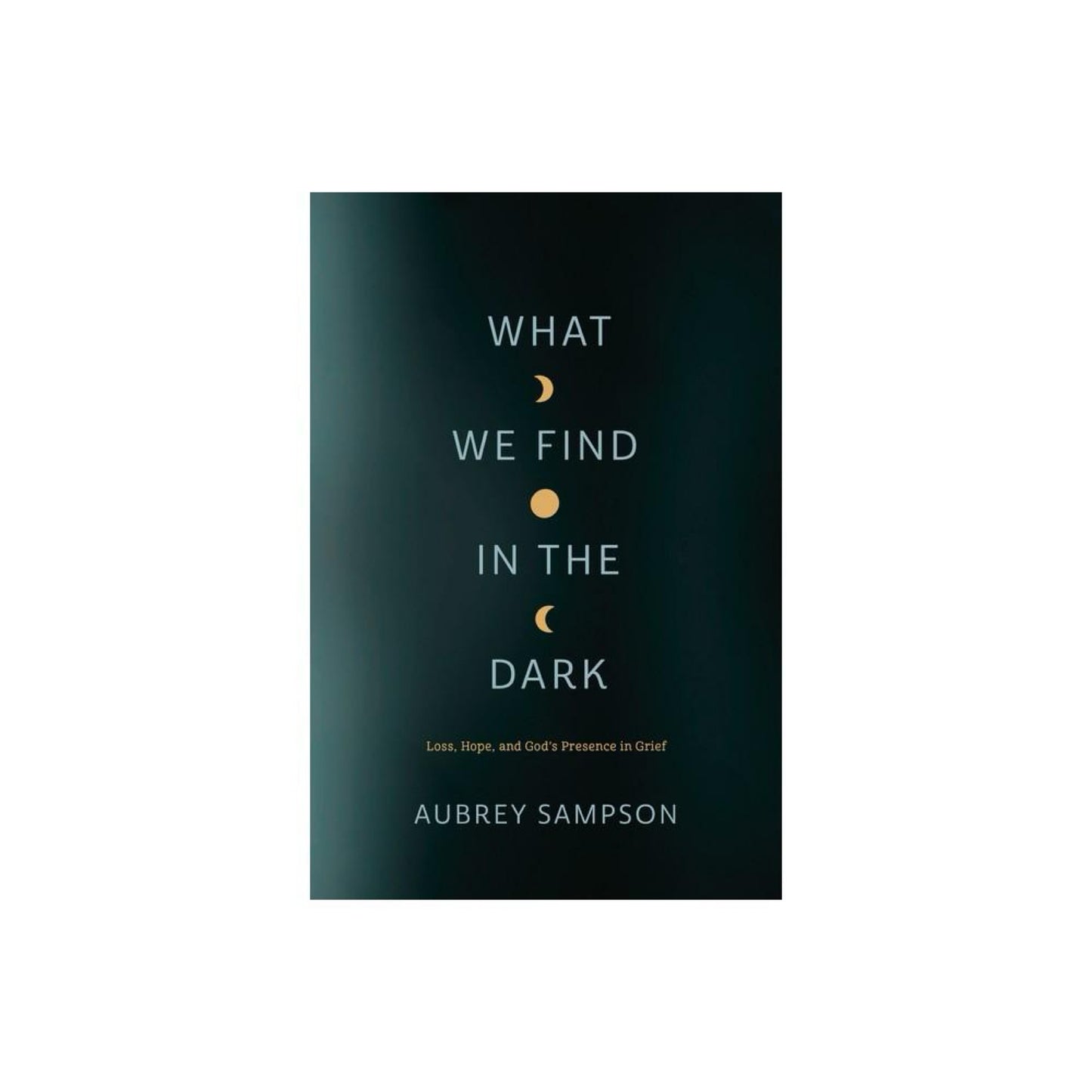 What We Find in the Dark - by Sampson (Paperback)