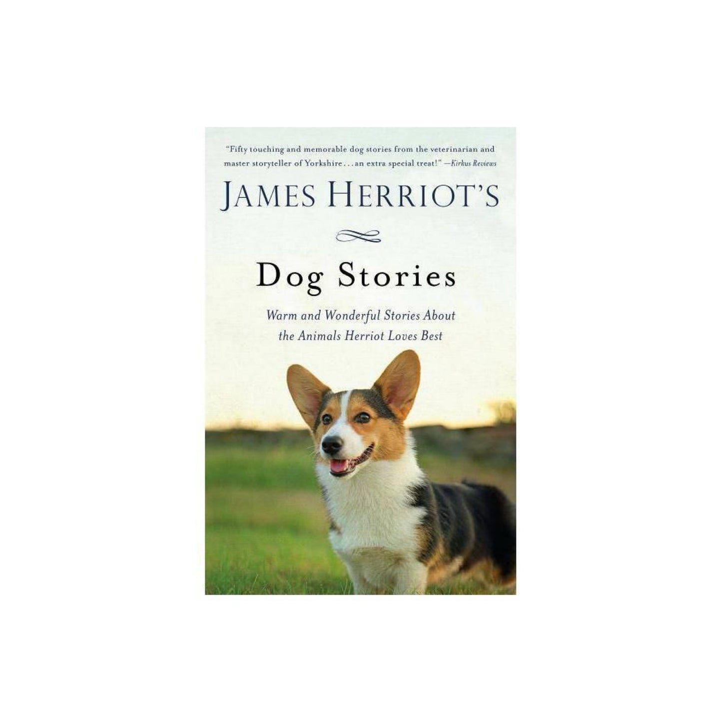 James Herriot's Dog Stories - 2nd Edition (Paperback)