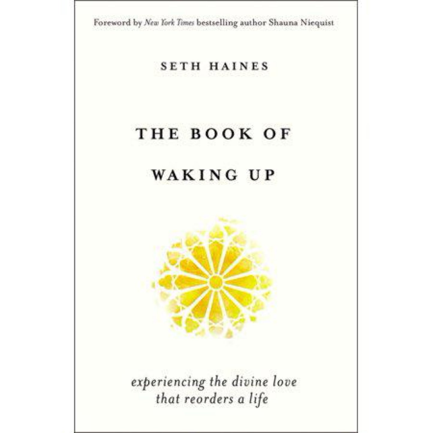 The Book of Waking Up: Experiencing the Divine Love That Reorders a Life by Seth Haines