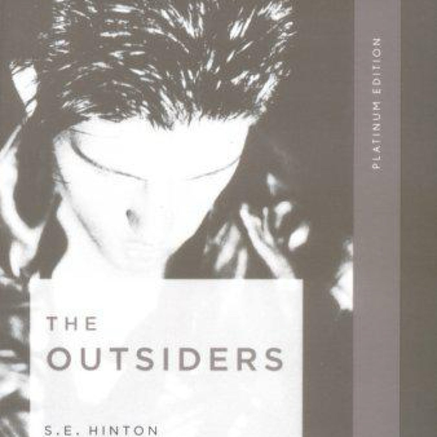 The Outsiders by S. E. Hinton