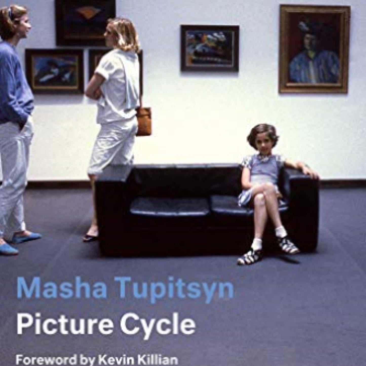 Picture Cycle (Semiotext(e) / Active Agents)