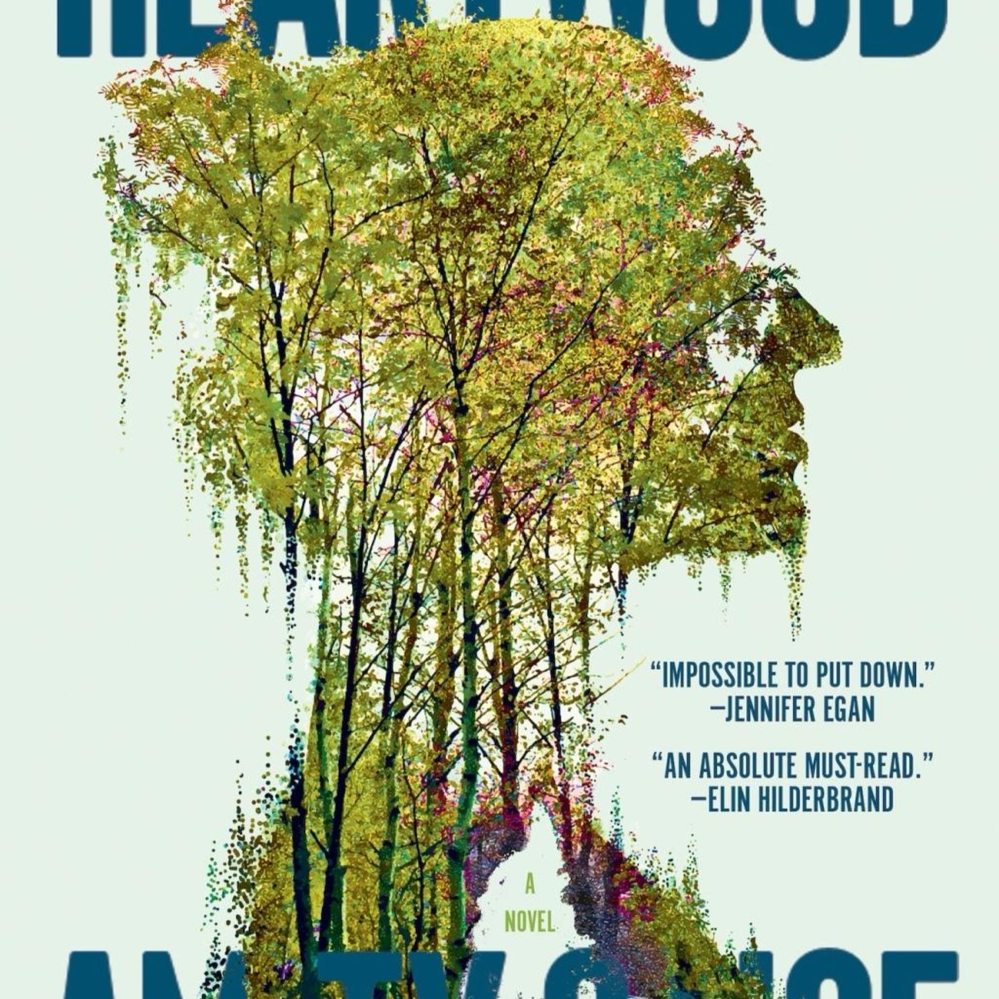Heartwood (a Read with Jenna Pick) (Used) - by Amity Gaige (Hardcover)