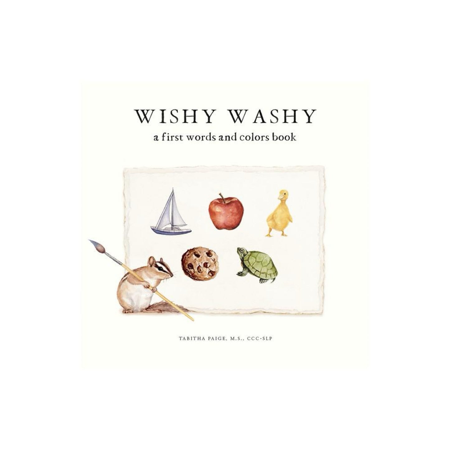 Wishy Washy - by Tabitha Paige (Board Book)