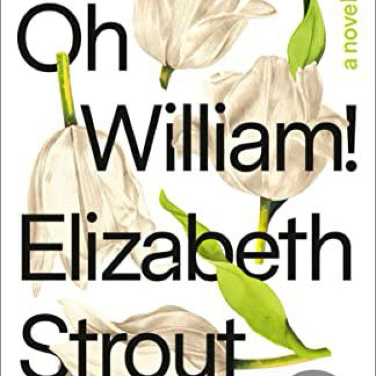 Oh William!: A Novel by Elizabeth Strout