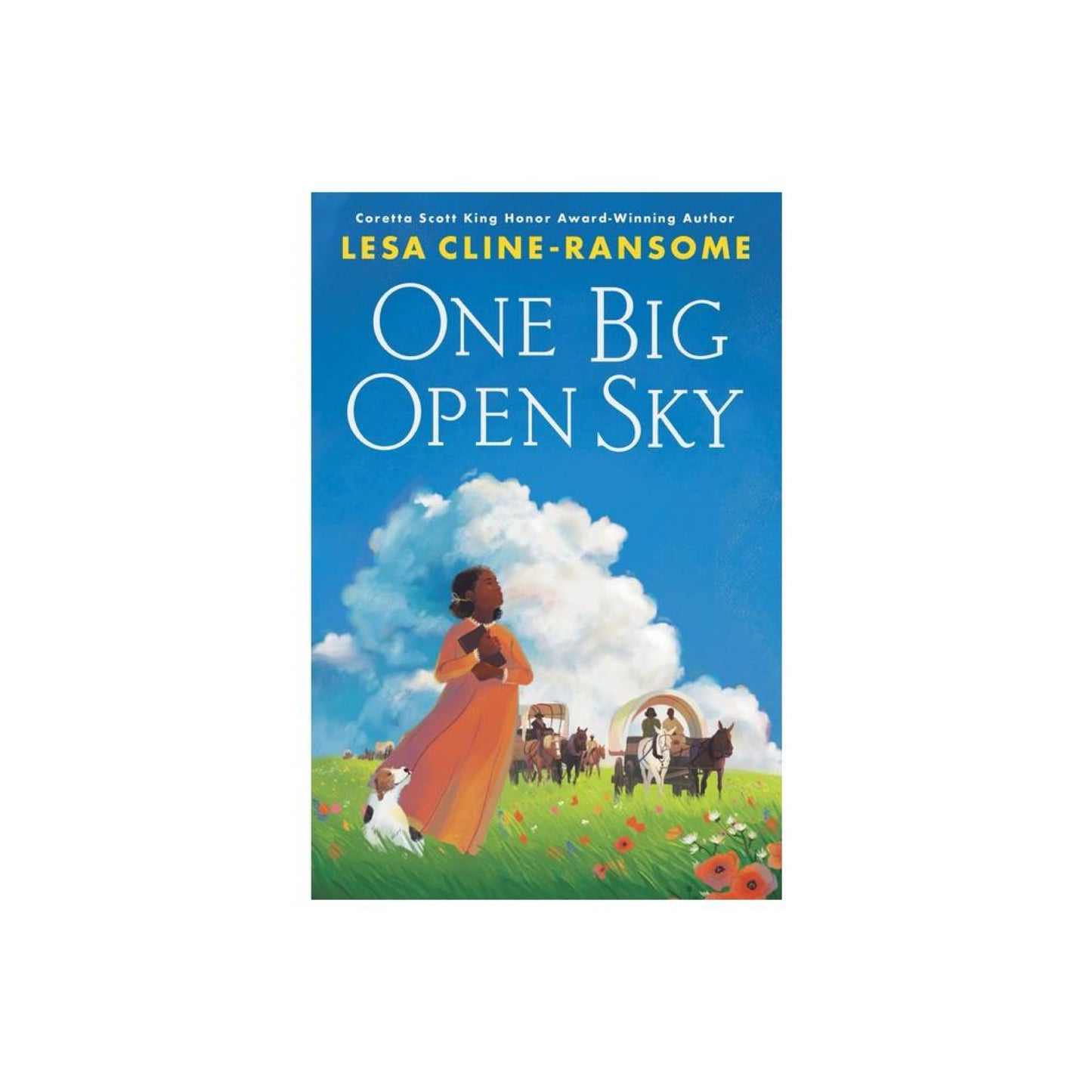 One Big Open Sky - by Lesa CLine-Ransome (Hardcover)
