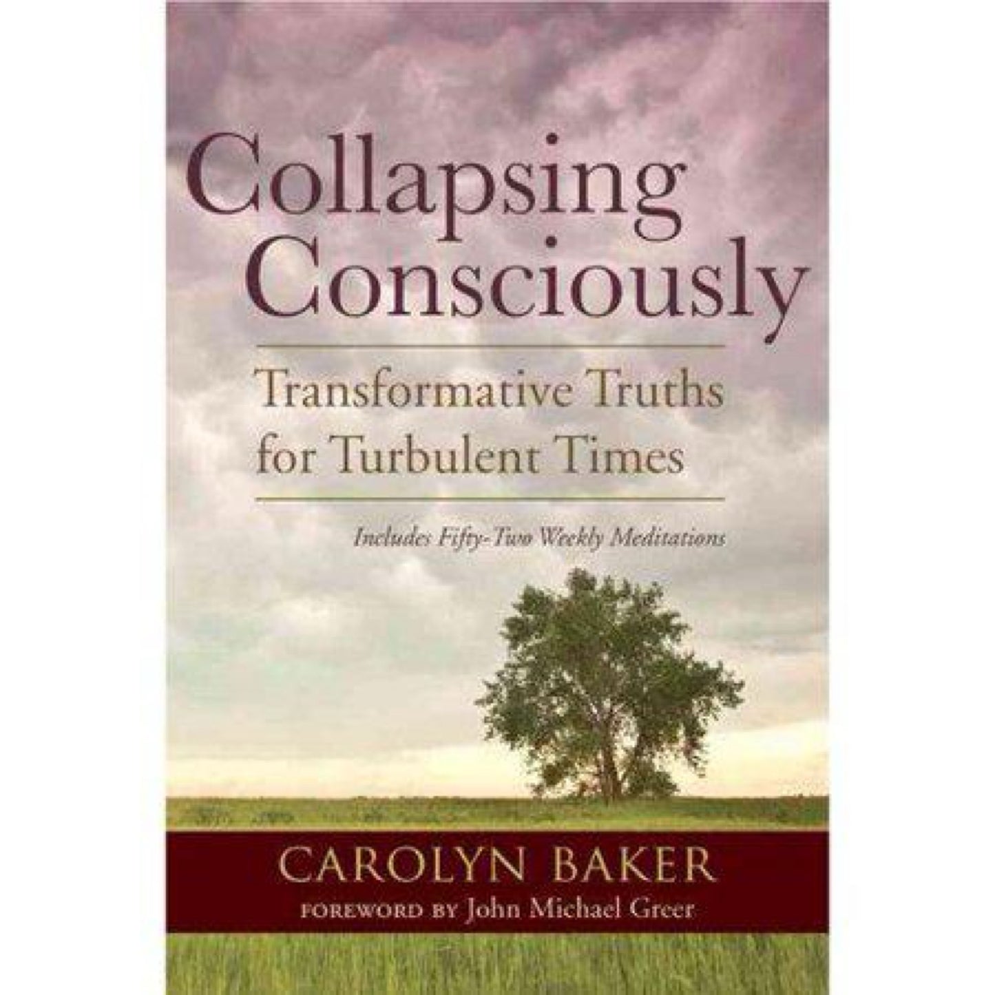 Collapsing Consciously - (Sacred Activism) by Carolyn Baker (Paperback)