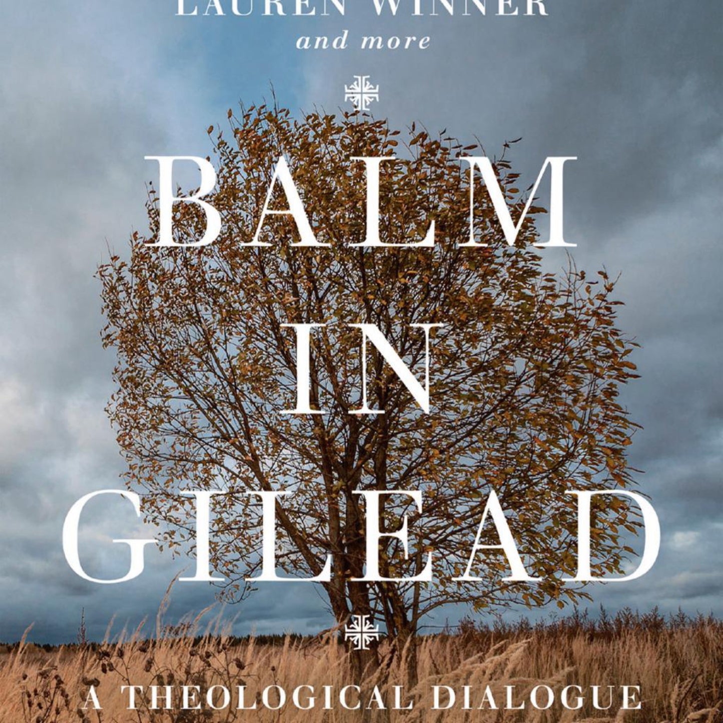 Balm in Gilead (Used) - (Wheaton Theology Conference) by Timothy Larsen & Keith L Johnson (Paperback)