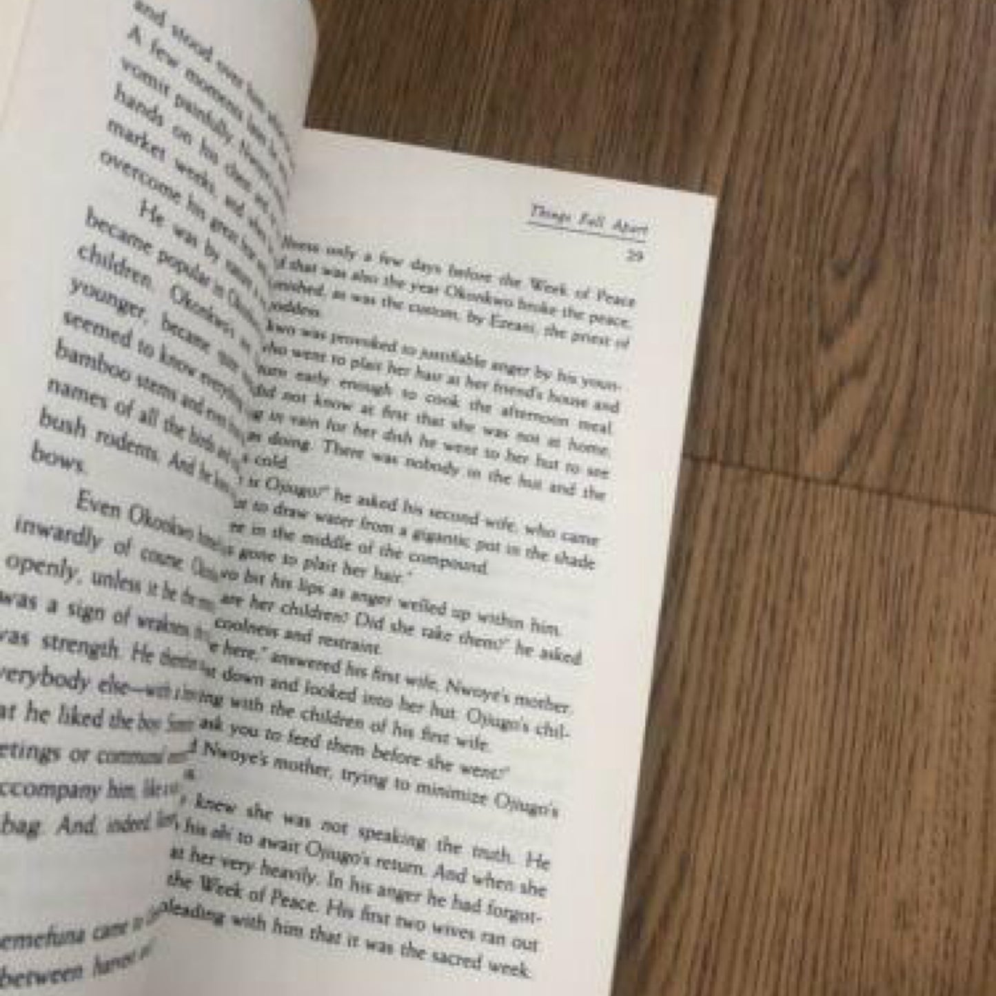 Things Fall Apart by Chinua Achebe