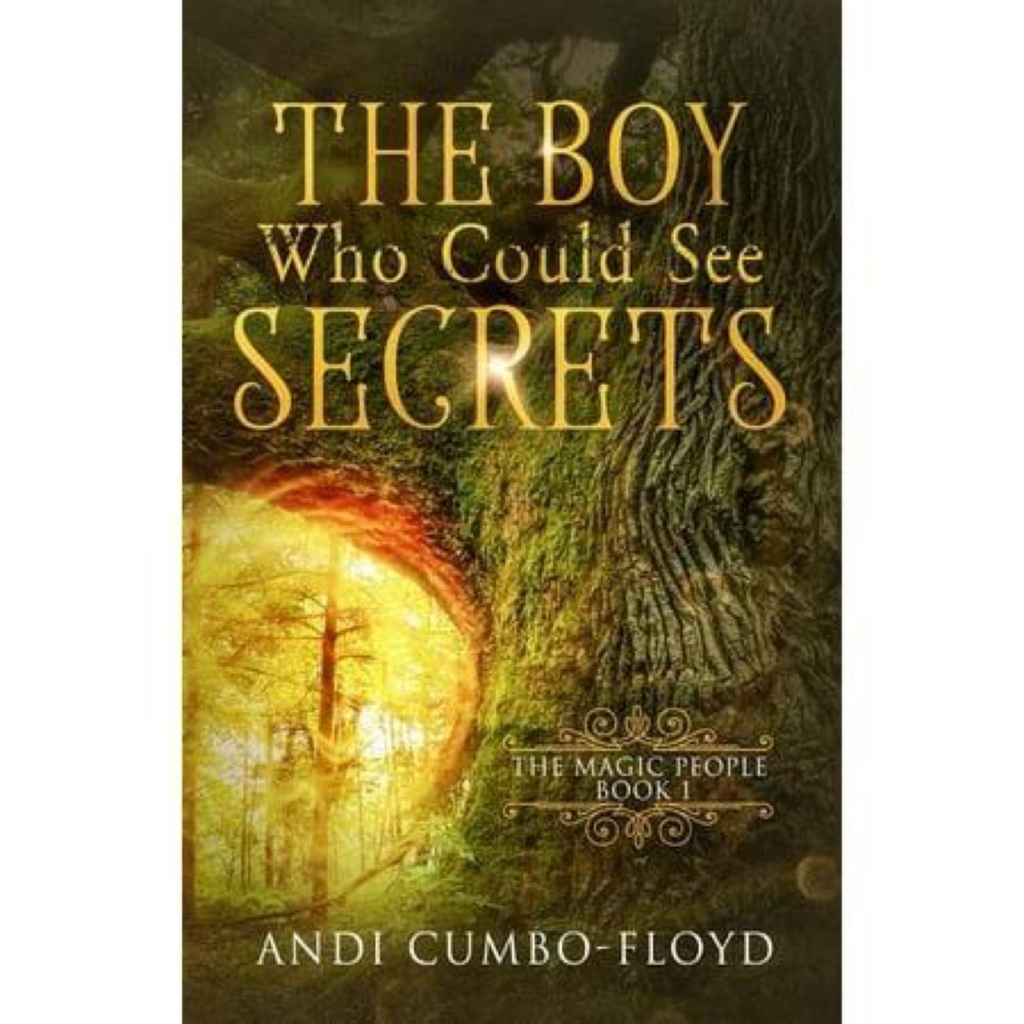 The Boy Who Could See Secrets (Series #1) (paperback)