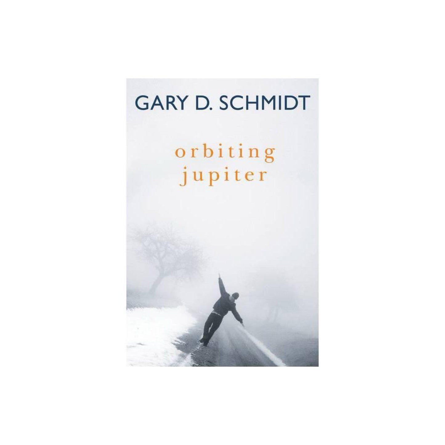Orbiting Jupiter by Gary D. Schmidt