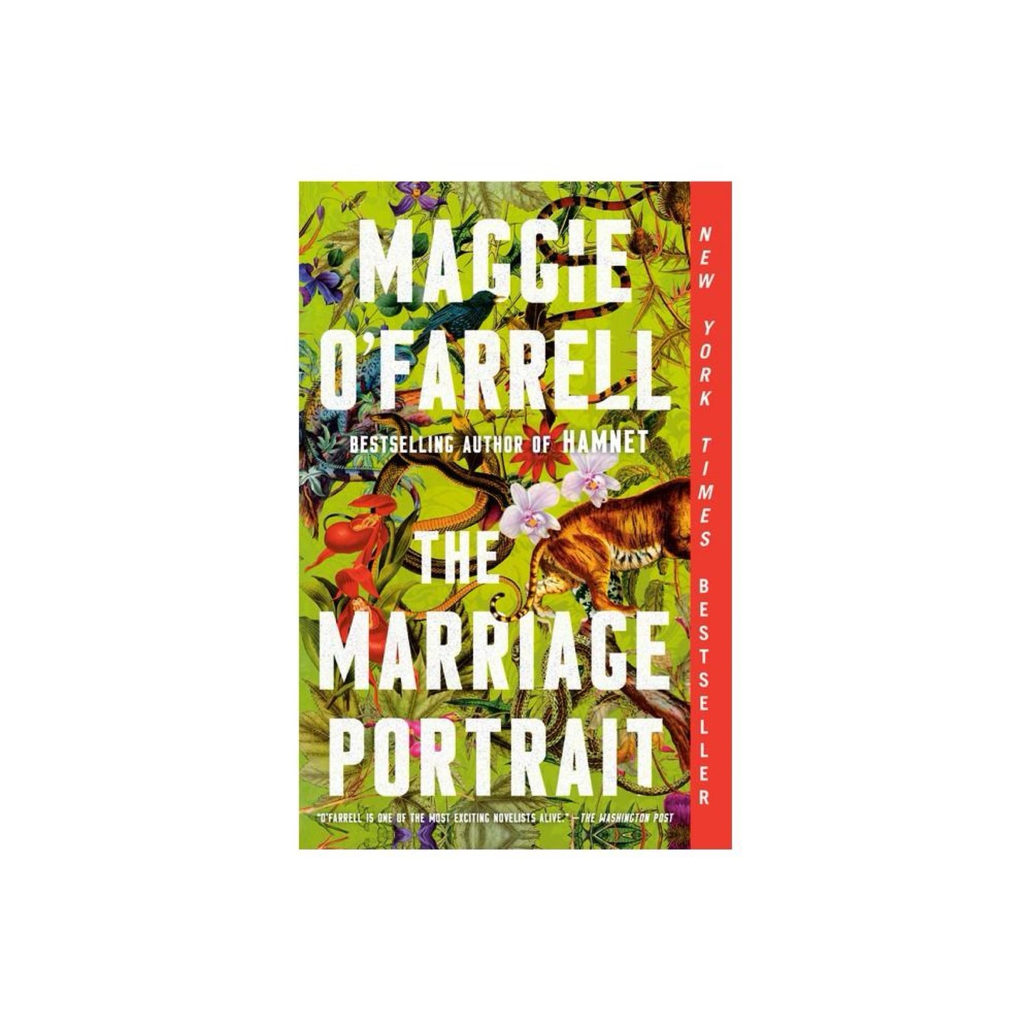 The Marriage Portrait - by Maggie O'Farrell (Paperback)