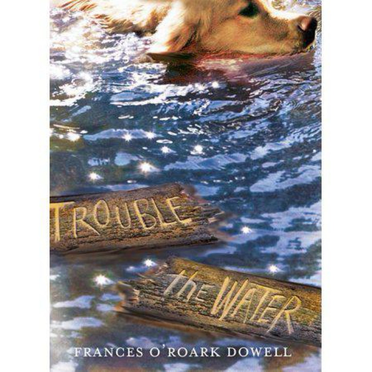 Trouble the Water (Paperback) (used)