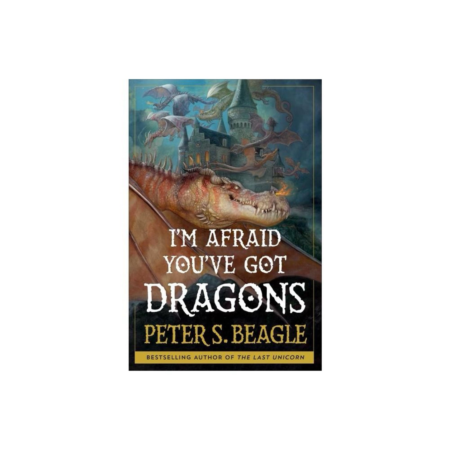 I'm Afraid You've Got Dragons - by Peter S Beagle (Hardcover)