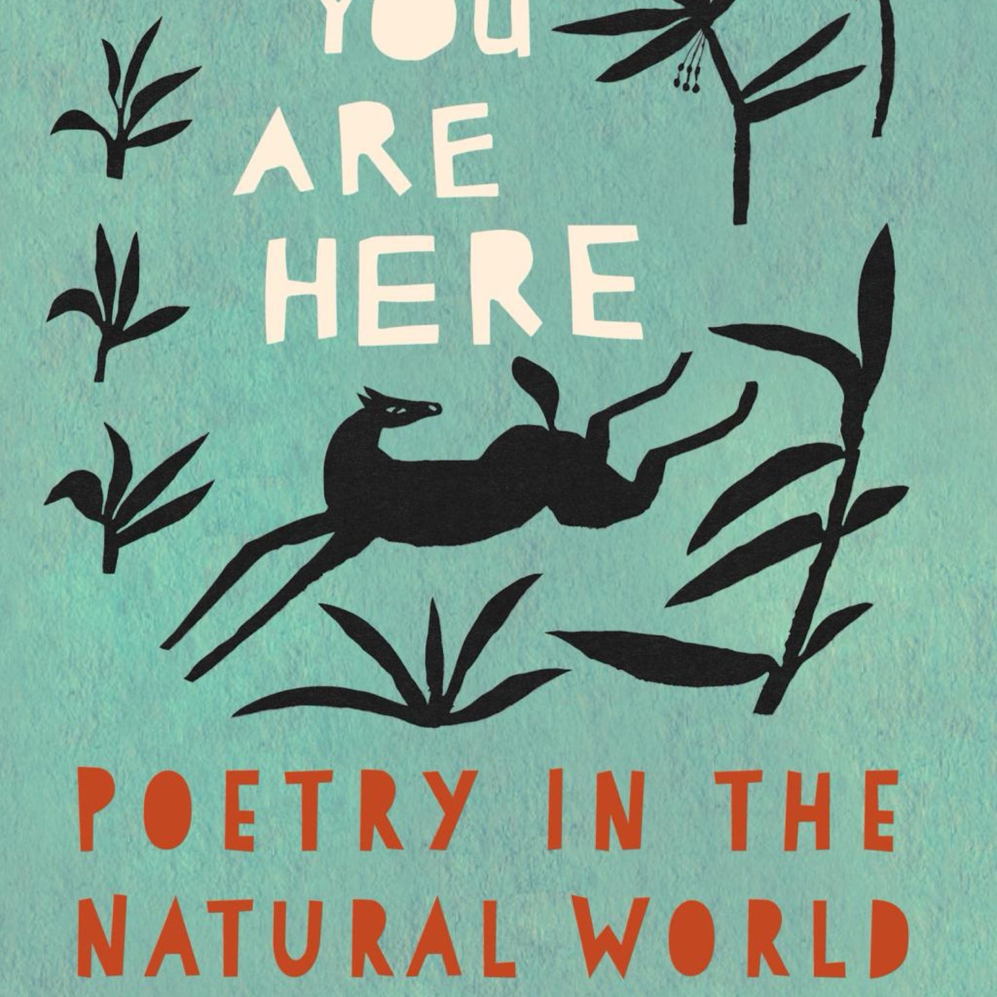 You Are Here - by Ada Limón (Hardcover)
