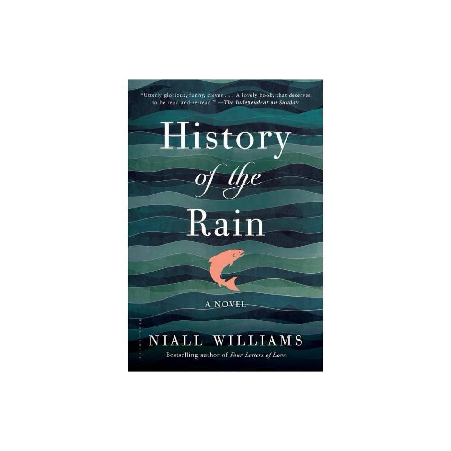 History of the Rain: A Novel by Niall Williams