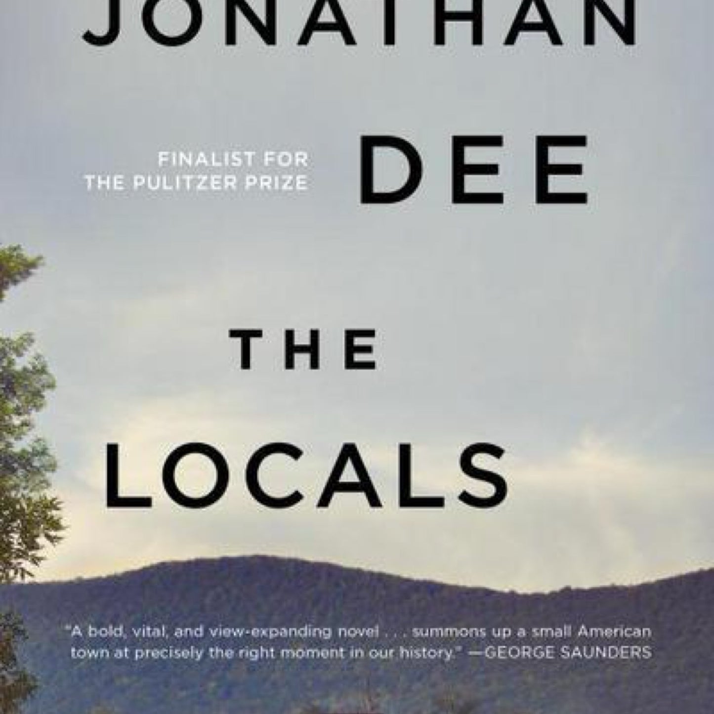 The Locals: A Novel by Jonathan Dee