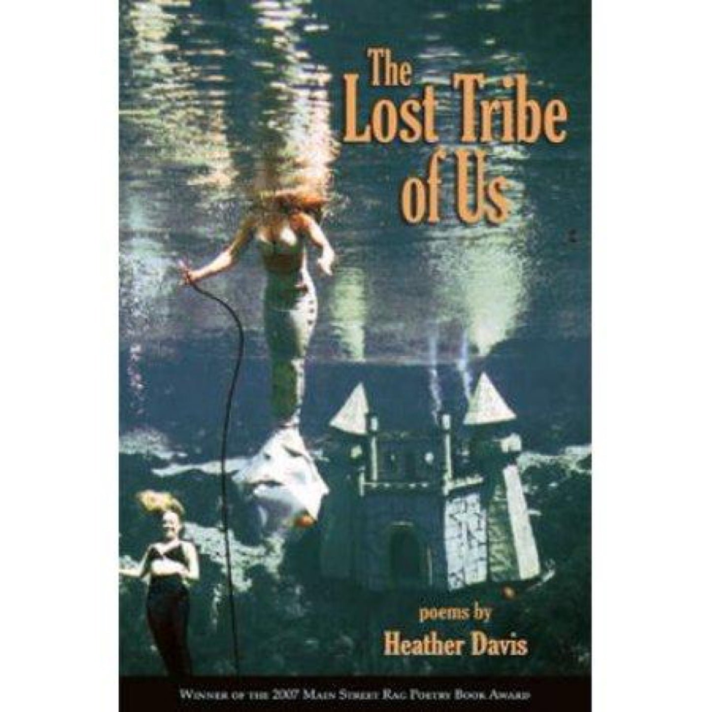 The Lost Tribe of Us : Poems (Hardcover)