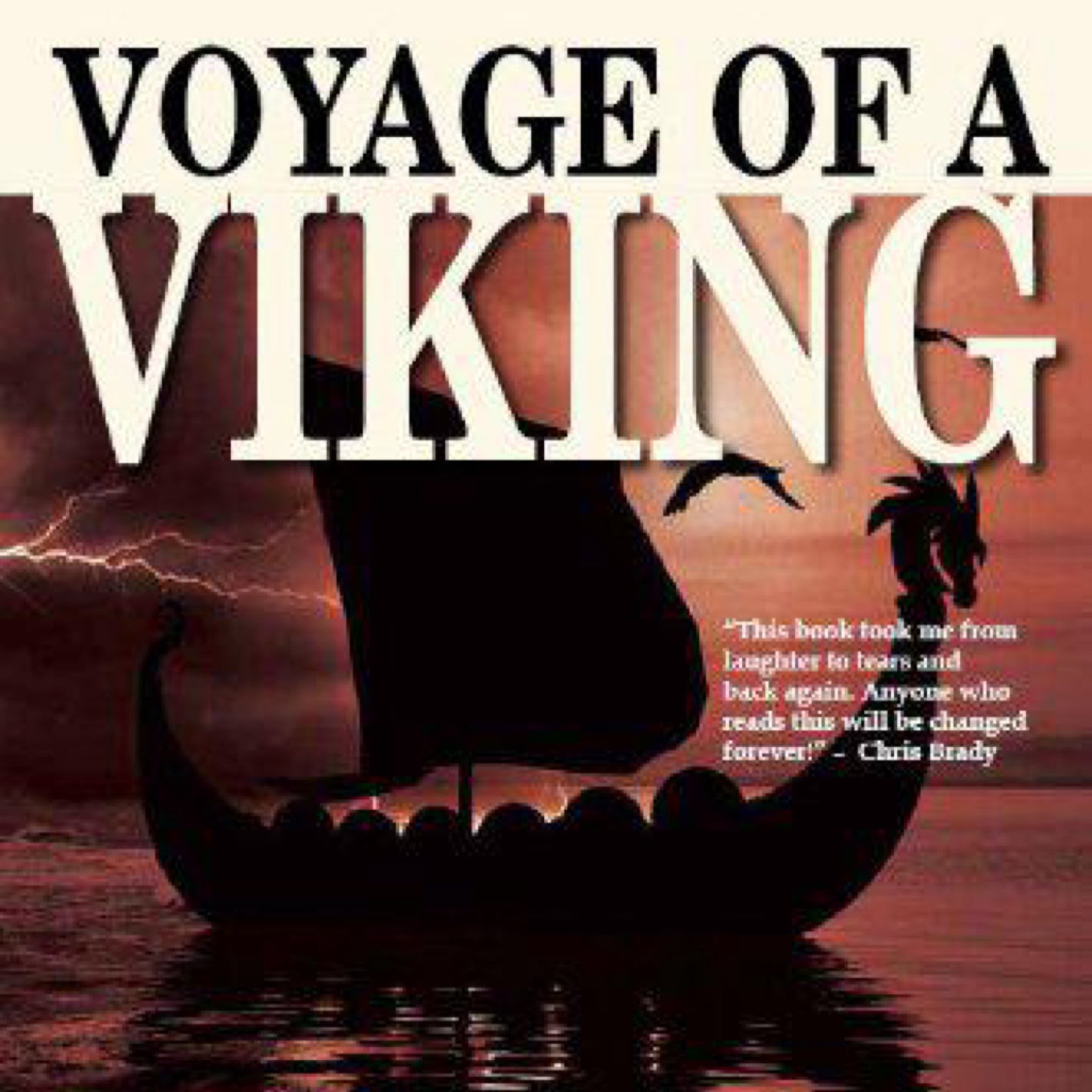 Voyage of a Viking : How a Man of Action Can Become a Man of Grace by Tim Marks