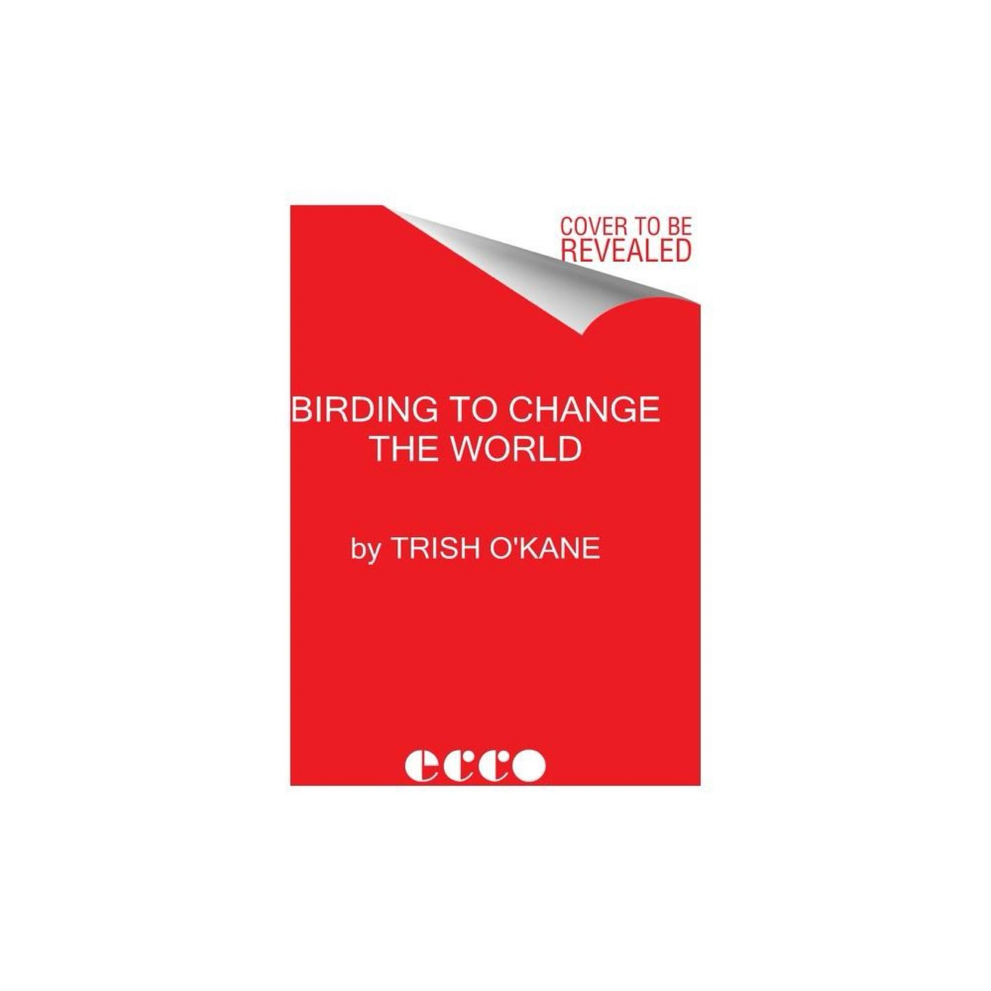 Birding to Change the World - by Trish O'kane (Hardcover)