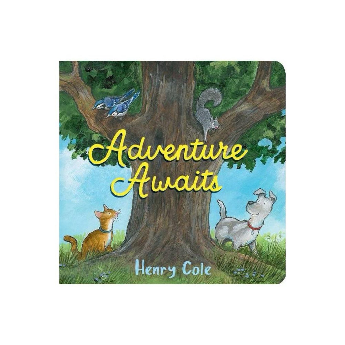 Adventure Awaits - by Henry Cole (Board Book)
