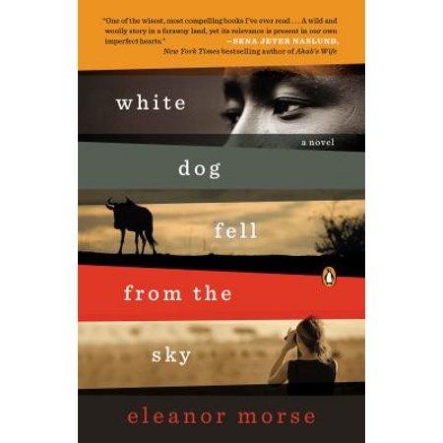 Runaway Girl - by Carissa Phelps (Paperback)