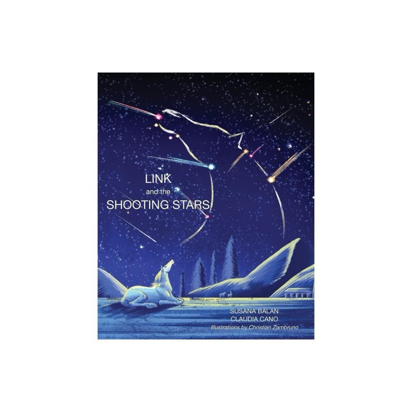 Link and the Shooting Stars