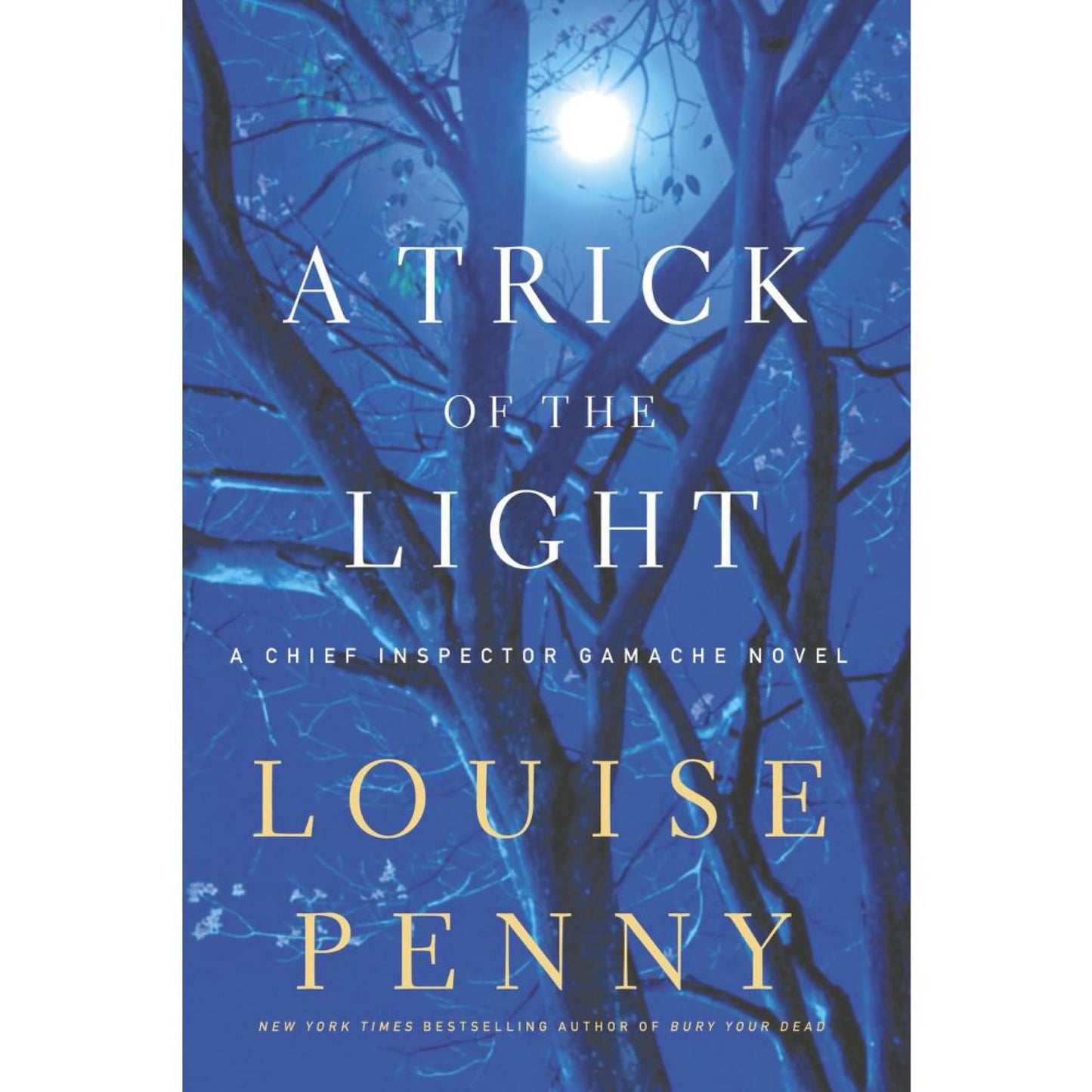 A Trick of the Light (Chief Inspector Gamache, Book 7) (Chief Inspector Gamache Novel, 7) by Louise Penny