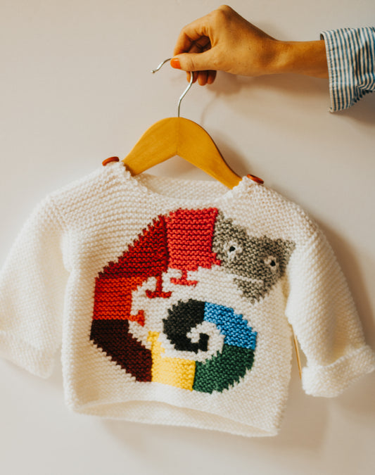 Chameleon Storybook Sweater