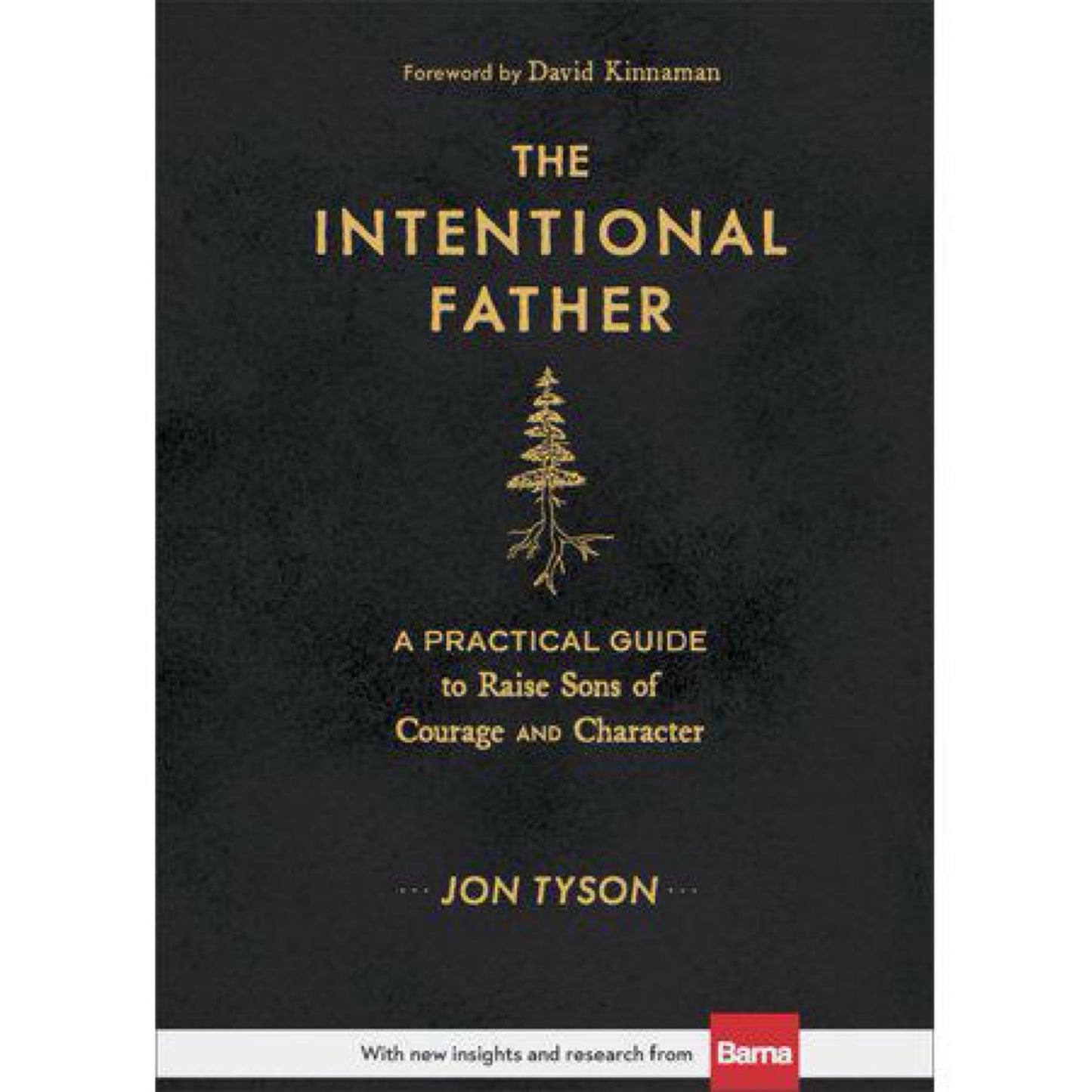 The Intentional Father: A Practical Guide to Raise Sons of Courage and Character (Includes Activities, Rites of Passage, and Steps for Parenting Boys. ... for Dads, Grandpas, and Expectant Fathers) by Jon Tyson