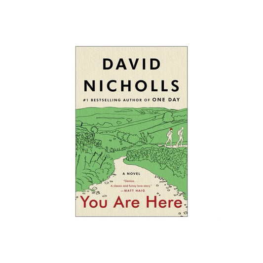 You Are Here - by David Nicholls (Hardcover)