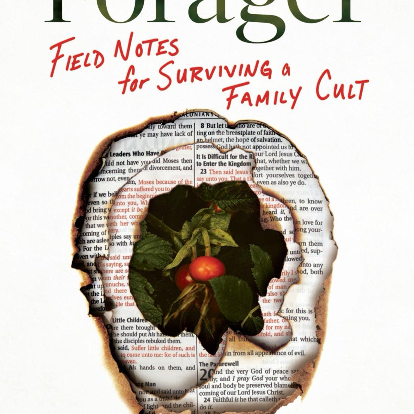 Forager : Field Notes for Surviving a Family Cult: A Memoir