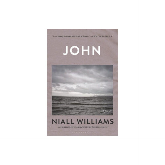 John - by Niall Williams (Paperback)