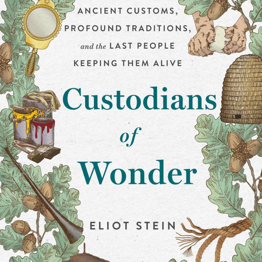 Custodians of Wonder - by Eliot Stein (Hardcover)