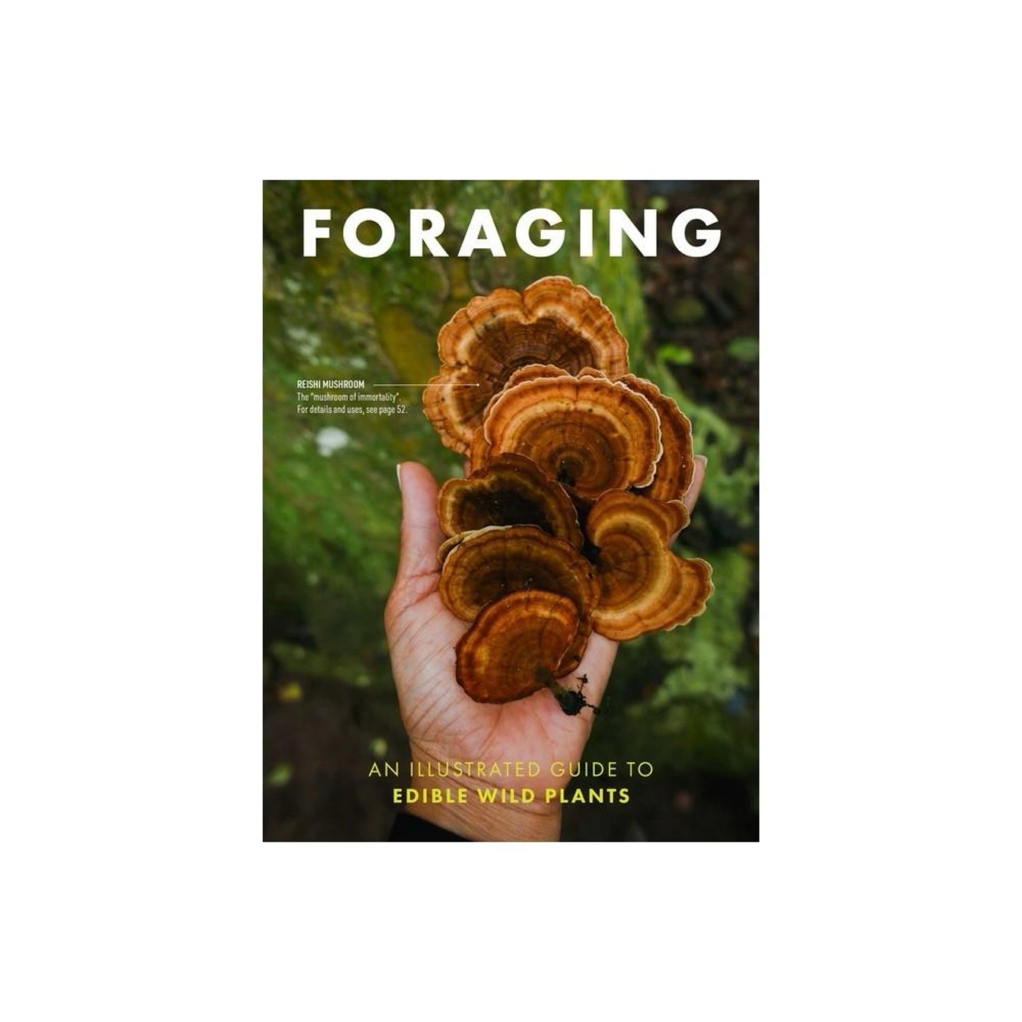 Foraging- An Illustrated Guide to Edible Wild Plants by Cider Mill Press