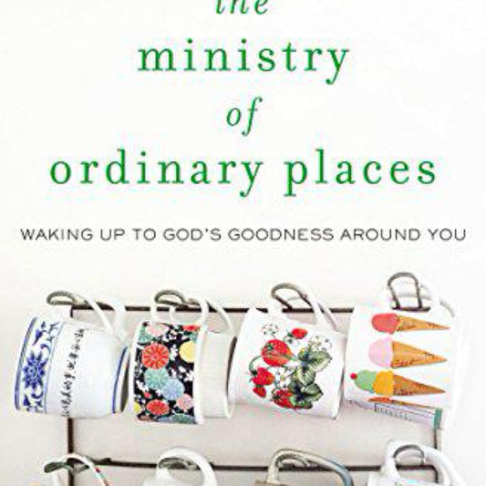 The Ministry of Ordinary Places: Waking Up to God's Goodness Around You by Shannan Martin