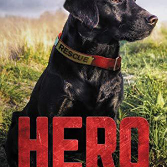 Hero (Hero, 1) (used) by Jennifer Li Shotz