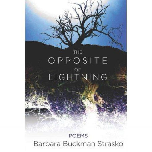 The Opposite of Lightning (Paperback)