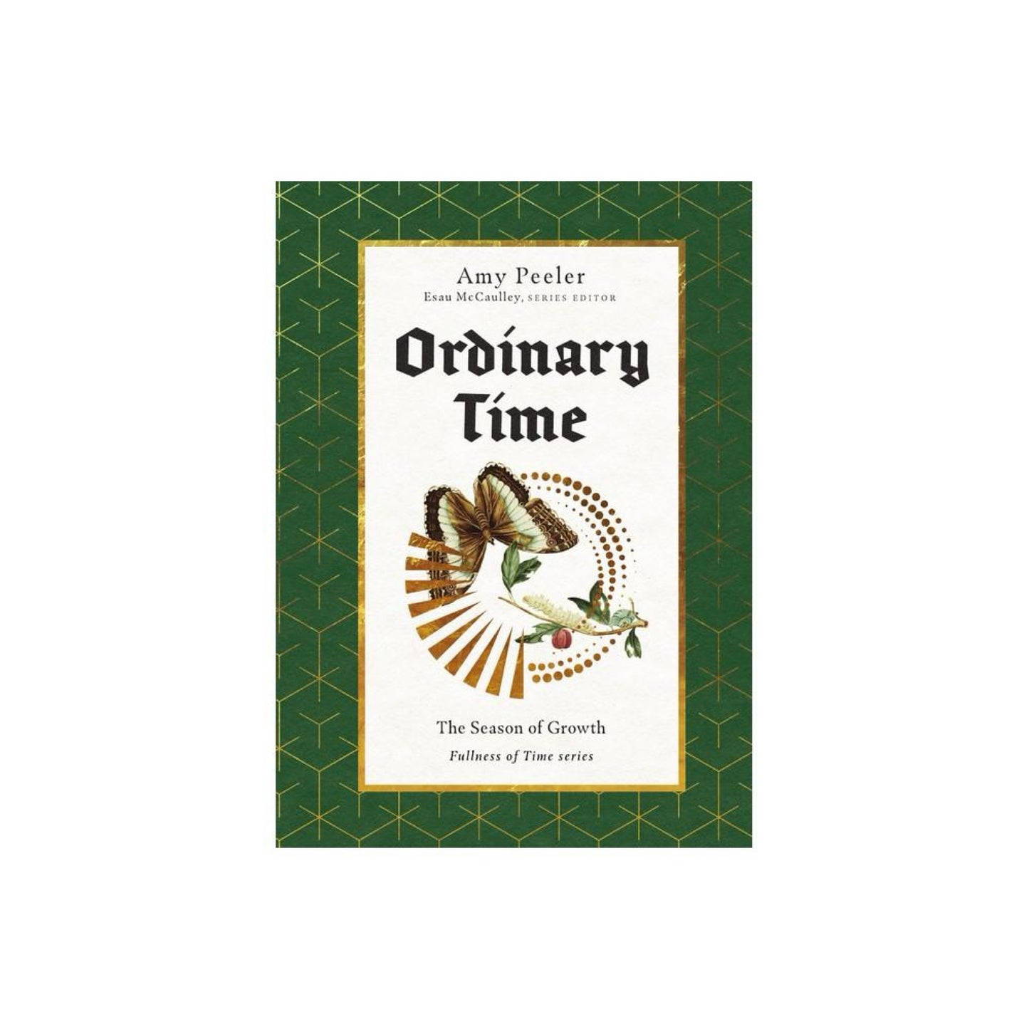 Ordinary Time - (Fullness of Time) by Amy Peeler (Hardcover)
