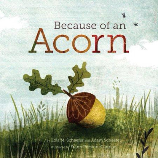 Because of an Acorn: (Nature Autumn Books for Children, Picture Books about Acorn Trees) (NRDC) by Lola M Schaefer