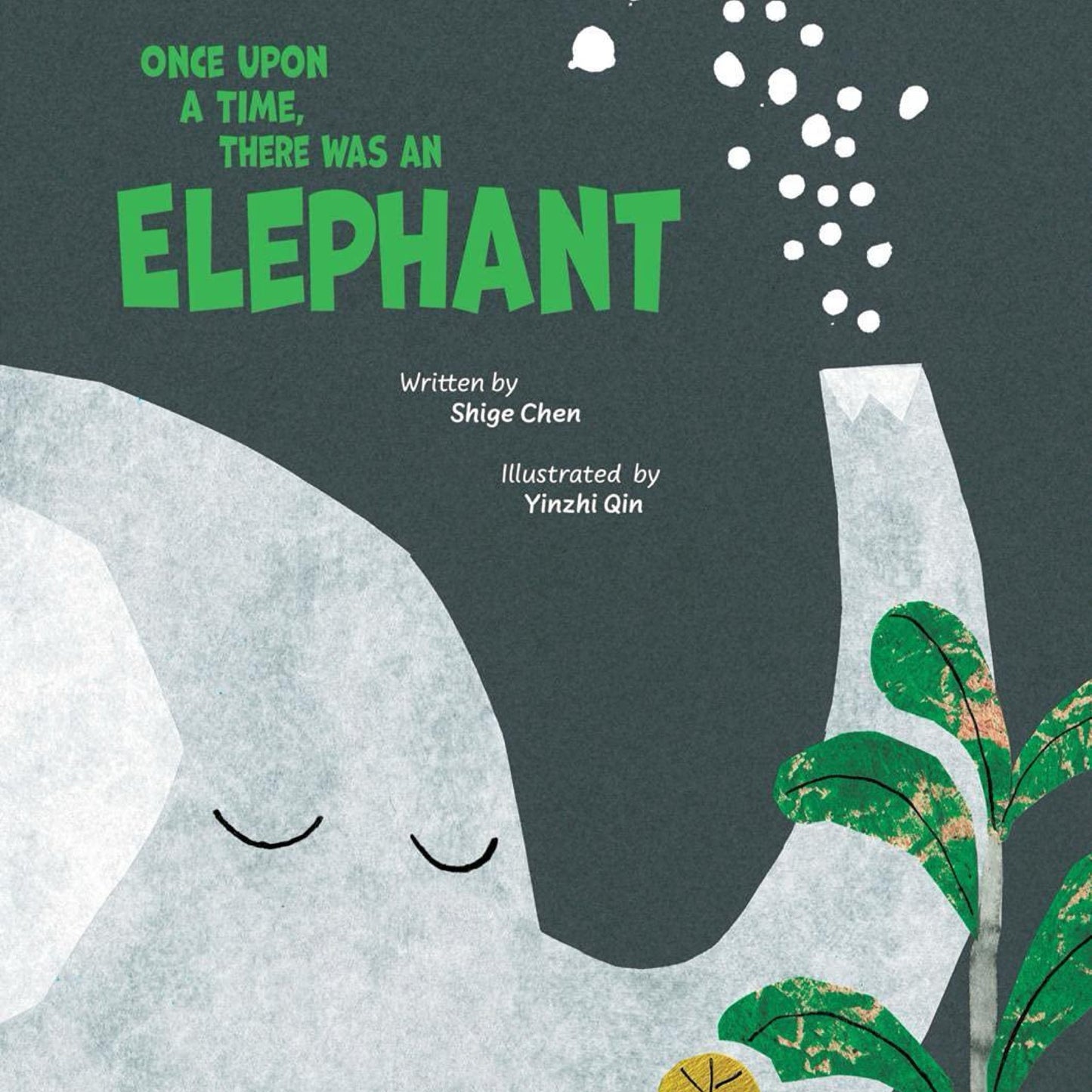 Once Upon a Time There Was an Elephant