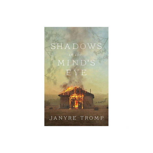 Shadows in the Mind's Eye - by Janyre Tromp (Paperback)