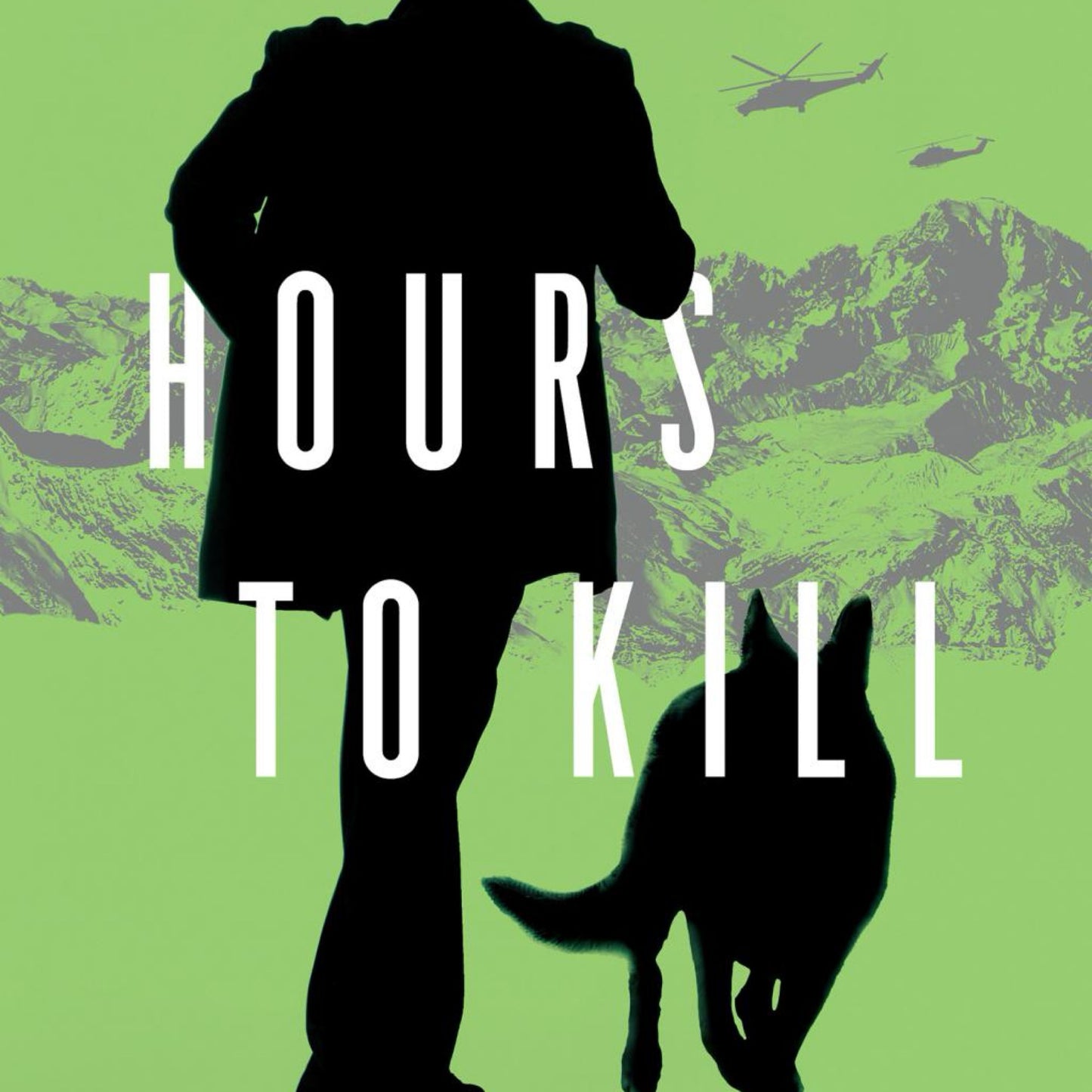 Hours to Kill - (Homeland Heroes) by Susan Sleeman (Used)