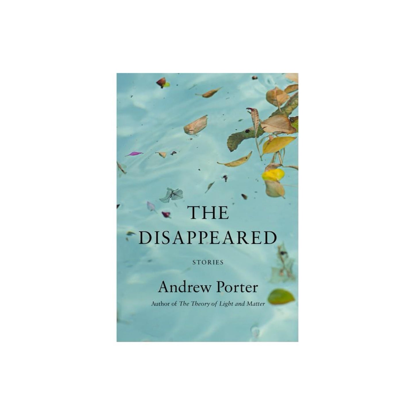 The Disappeared: Stories by Andrew Porter
