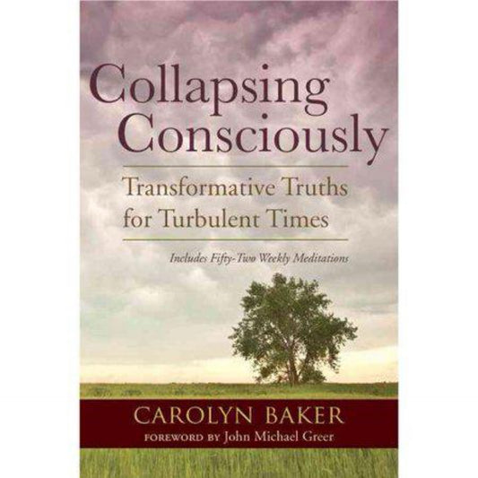 Collapsing Consciously - (Sacred Activism) by Carolyn Baker (Paperback)